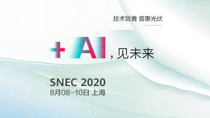 SNEC 2020