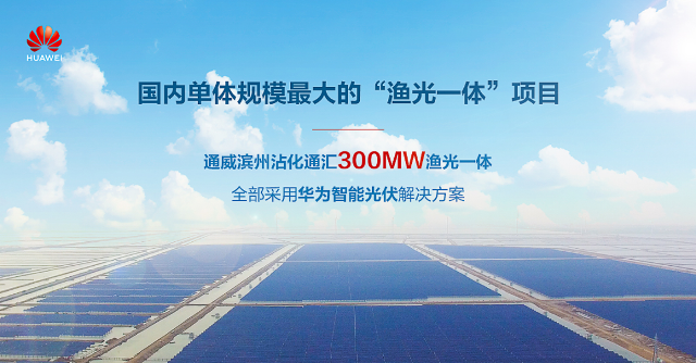 单体规模最大渔光一体丨通威新能源300MW光伏项目顺利并网