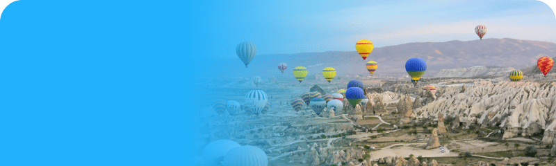 img Local Turkey