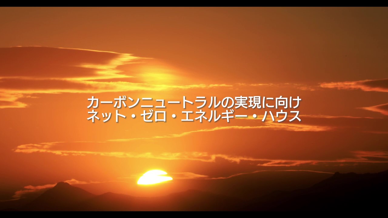 video img