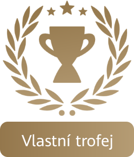 Custom Trophy