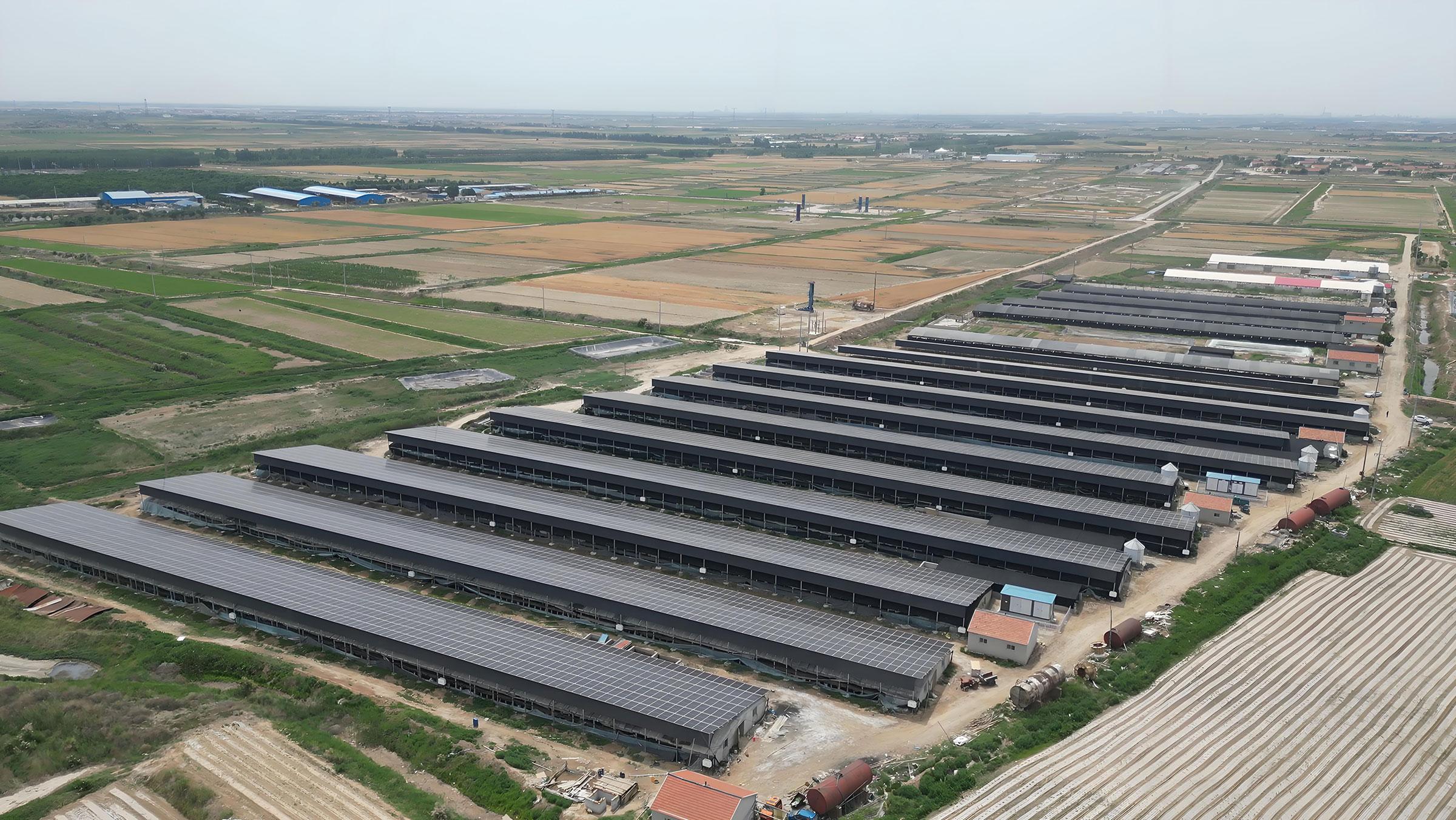 利津九亮农业 5MW 牧光互补项目