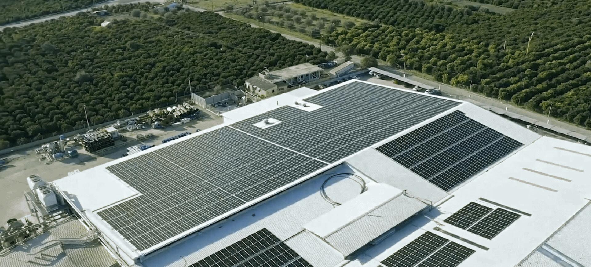 可持续发展的水果工厂