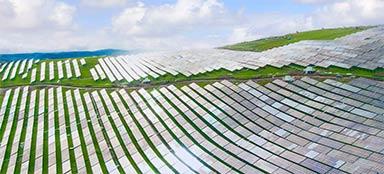 A Leading Digitalized PV Power Plant