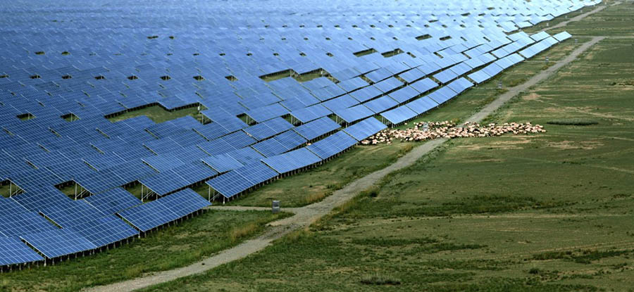 同时，该项目也成为全球最大单体光伏电站、全球最短时间内建成的新能源发电项目（从中标到全部并网历时一年）。