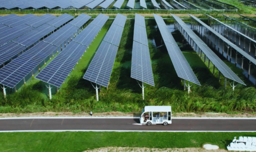 崇明华电绿华44MW“渔光旅”光伏项目