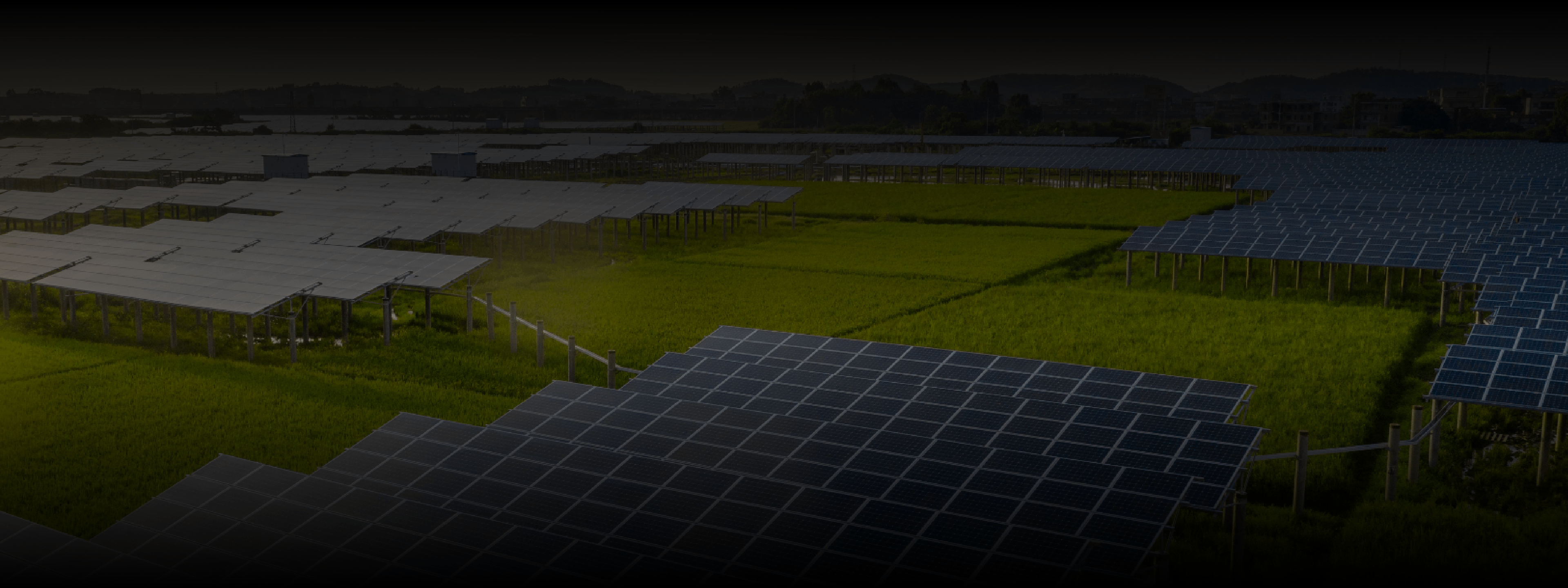 Weather-Ready, Work Steady