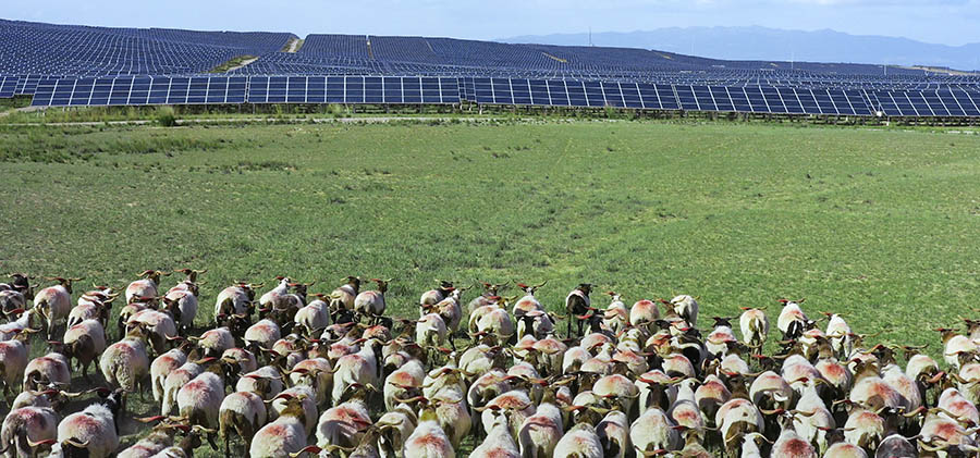 同时，该项目也成为全球最大单体光伏电站、全球最短时间内建成的新能源发电项目（从中标到全部并网历时一年）。