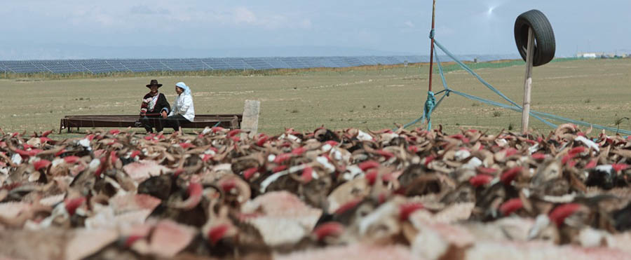 同时，该项目也成为全球最大单体光伏电站、全球最短时间内建成的新能源发电项目（从中标到全部并网历时一年）。