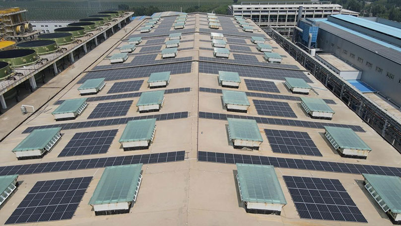 光伏+金利金锌 |“碳”索绿色发展新路径