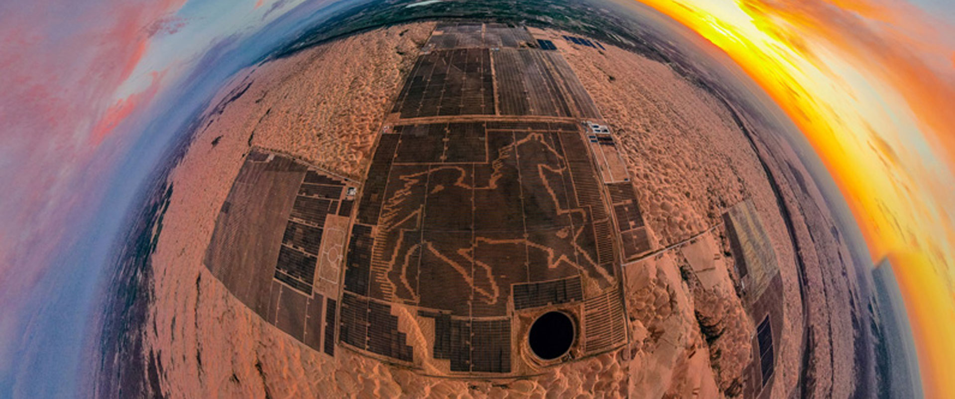 全球最大的农光互补光伏电站